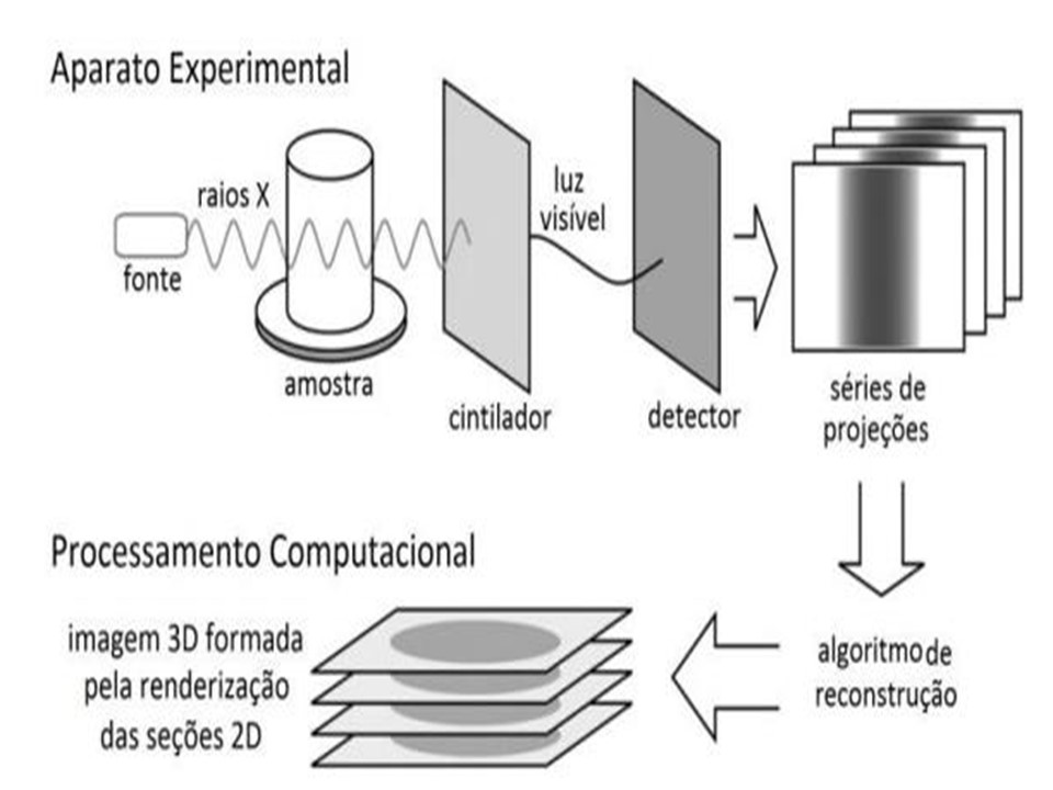 Esquema microCT